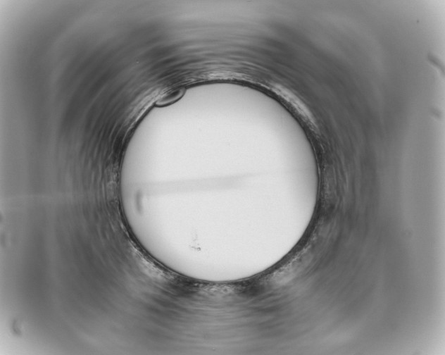 X0000095890801200802011105