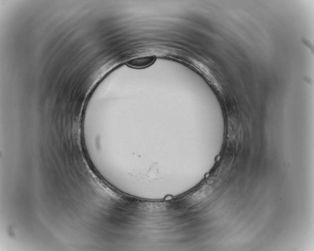 X0000095890802200802011105