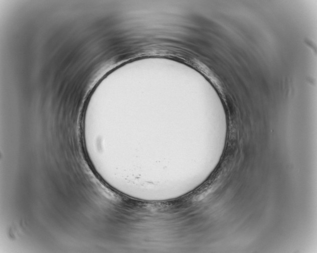 X0000095890803200802011105