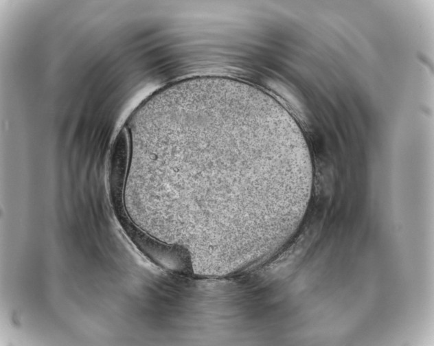 X0000095890804200802011105