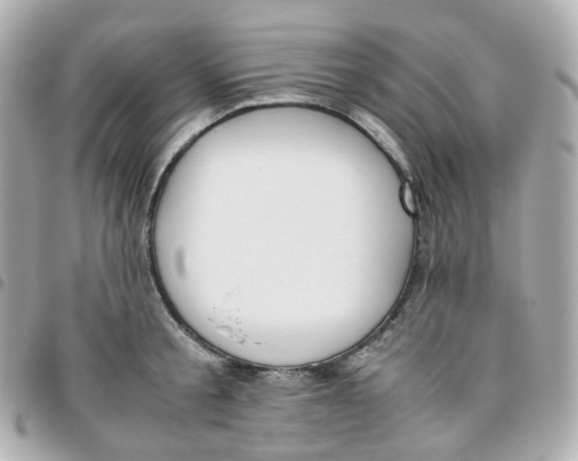 X0000095890805200802011105