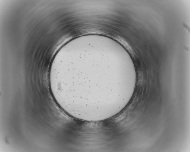 X0000095890806200802011105