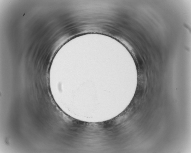 X0000095890807200802011105