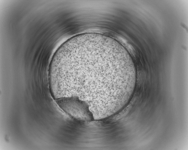 X0000095890808200802011105