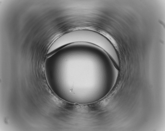 X0000095890809200802011105