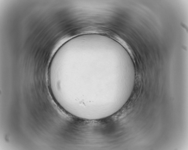 X0000095890811200802011105