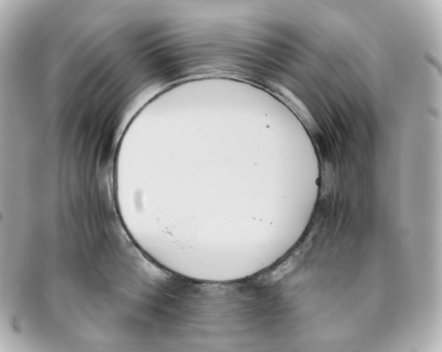 X0000095890812200802011105