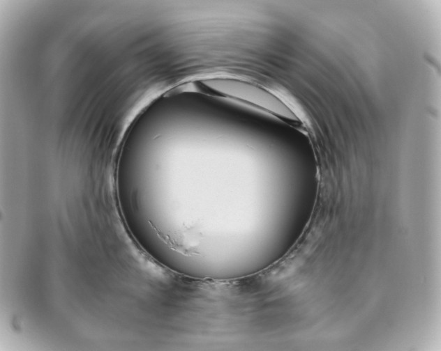 X0000095890813200802011105