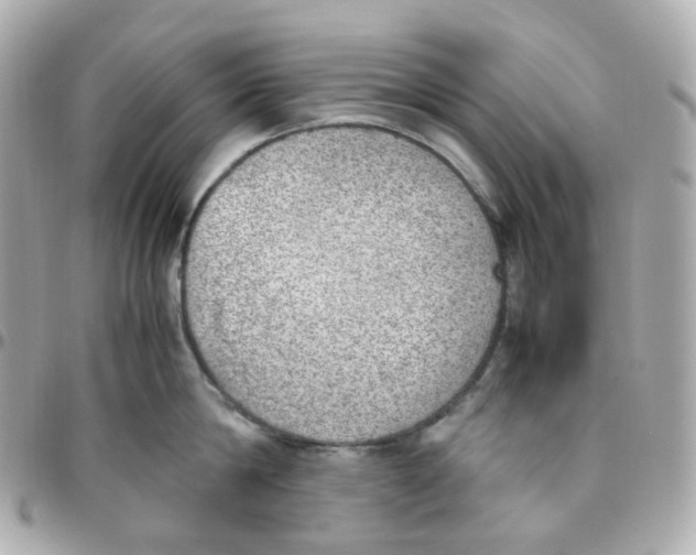 X0000095890814200802011105