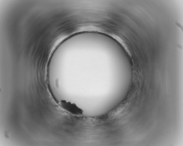 X0000095890815200802011105