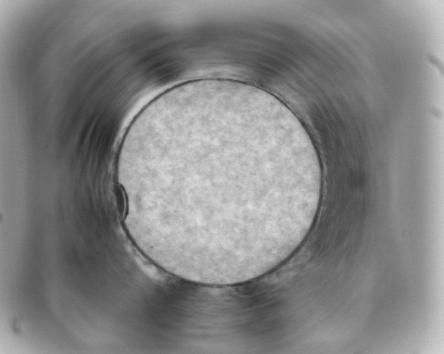 X0000095890816200802011105