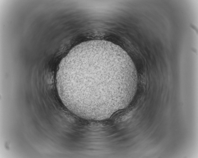 X0000095890818200802011104