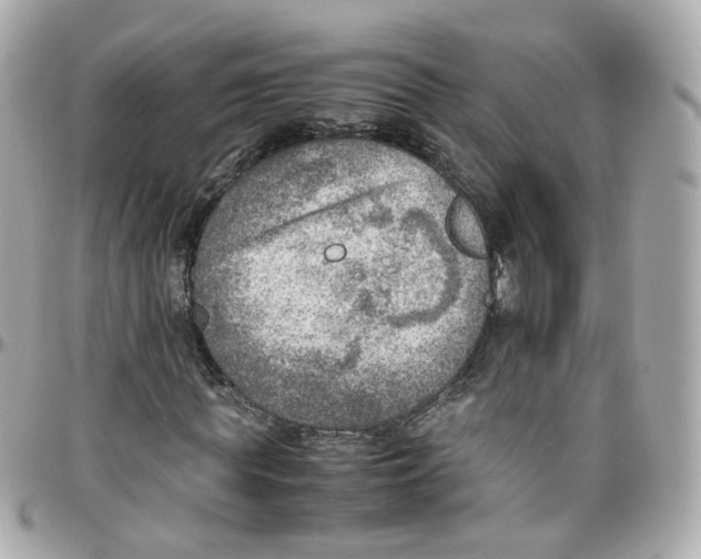 X0000095890819200802011104