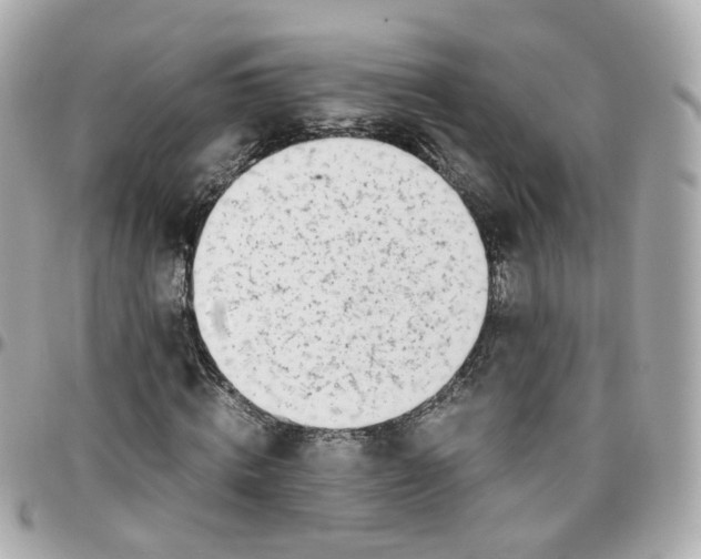 X0000095890820200802011105