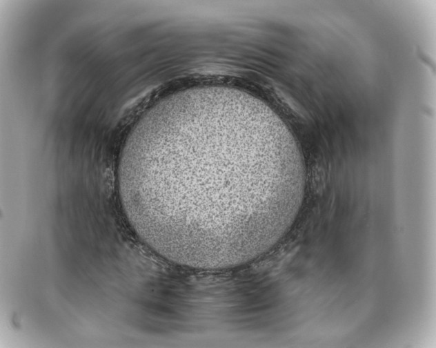 X0000095890821200802011105