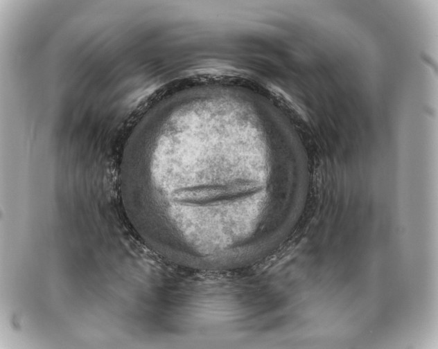 X0000095890822200802011105