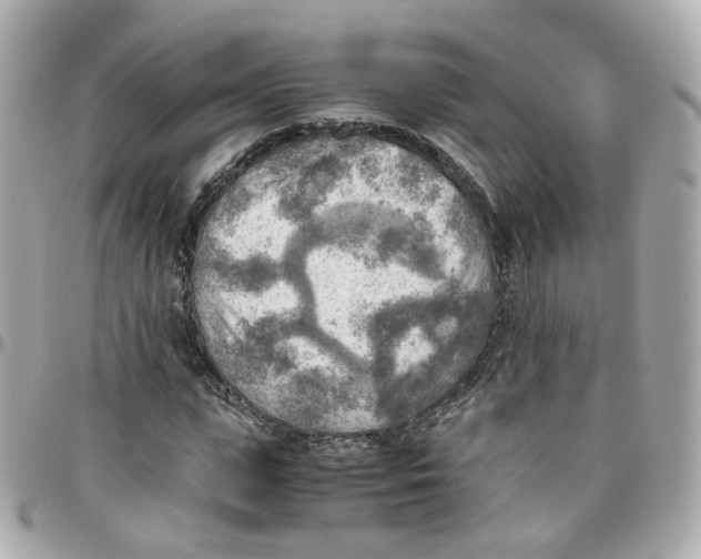 X0000095890823200802011105