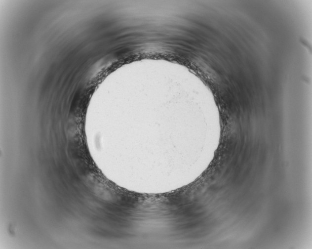 X0000095890824200802011105