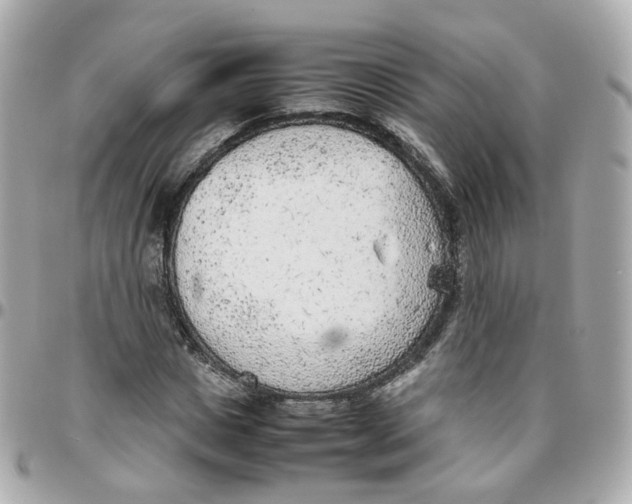 X0000095890825200802011105