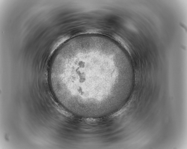 X0000095890827200802011105