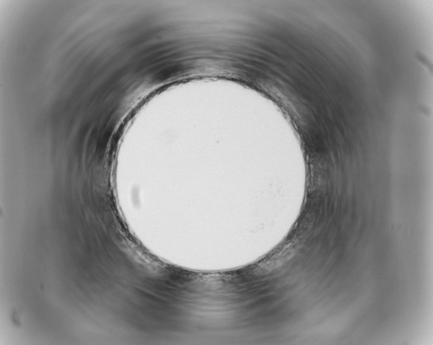 X0000095890828200802011105