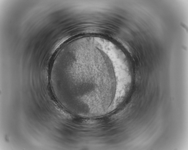 X0000095890829200802011105