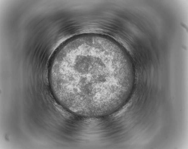 X0000095890830200802011105