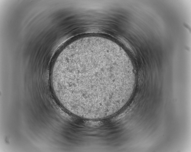 X0000095890831200802011105