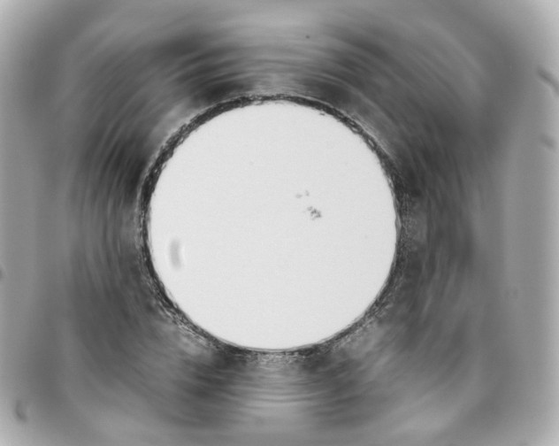 X0000095890832200802011105