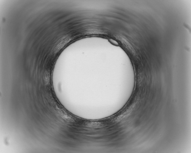 X0000095890833200802011105