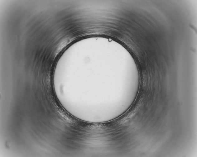 X0000095890834200802011105