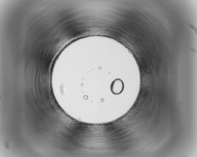 X0000095890836200802011105