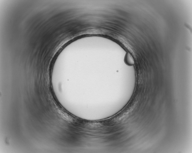 X0000095890837200802011105