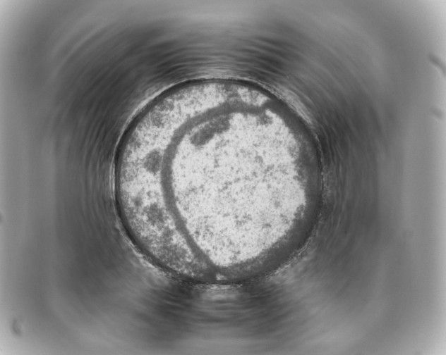 X0000095890839200802011105