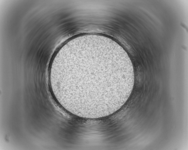 X0000095890840200802011105