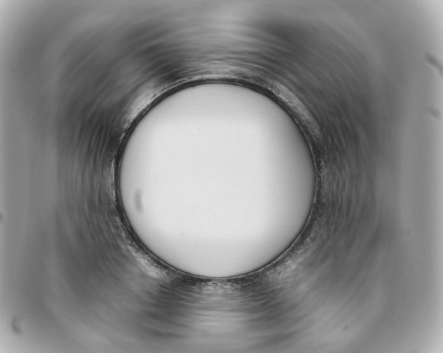 X0000095890842200802011105