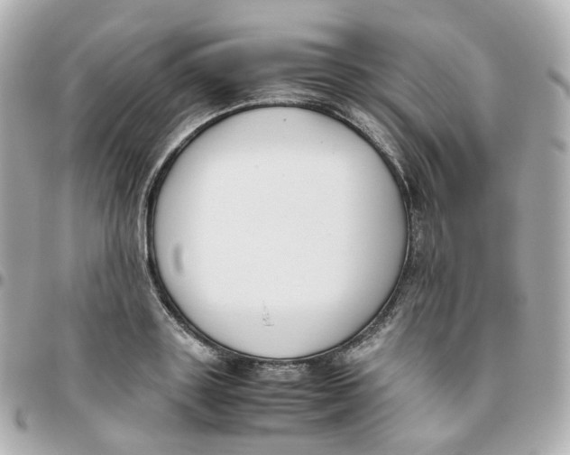 X0000095890843200802011105