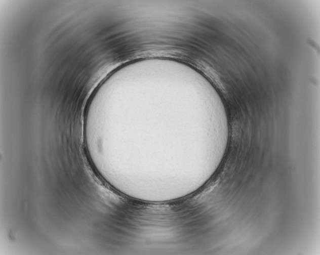 X0000095890844200802011105