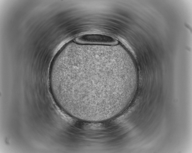 X0000095890845200802011105