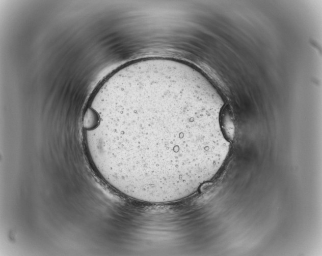 X0000095890846200802011105