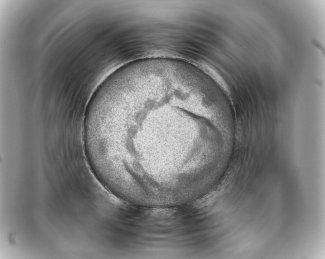 X0000095890847200802011105