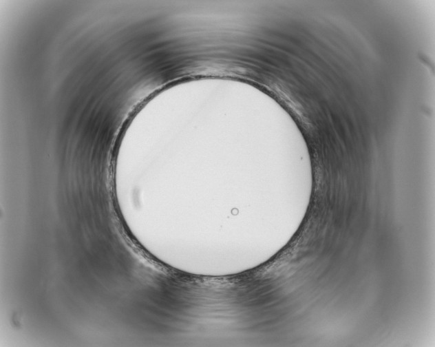 X0000095890848200802011105