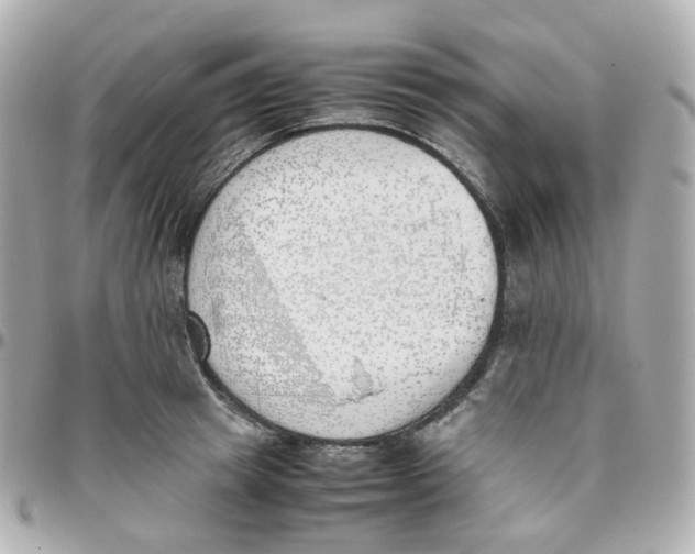 X0000095890849200802011105