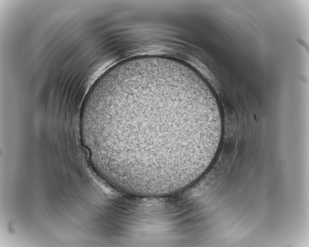 X0000095890850200802011105