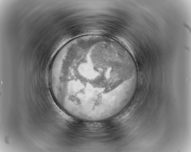 X0000095890851200802011105