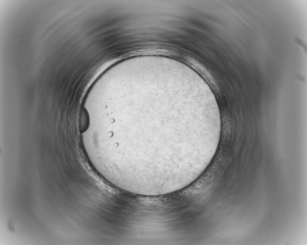 X0000095890852200802011105