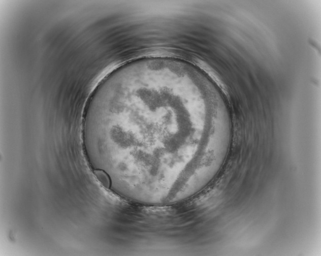 X0000095890853200802011105