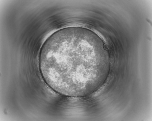 X0000095890854200802011105