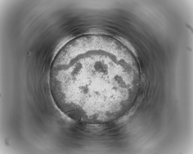 X0000095890855200802011105