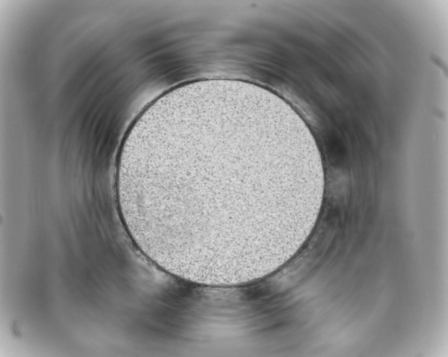 X0000095890856200802011105